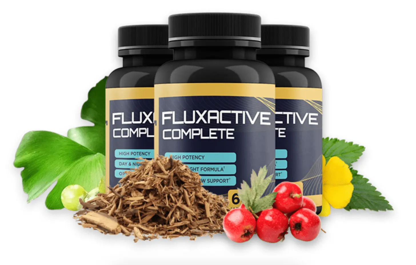 fluxactive-complete